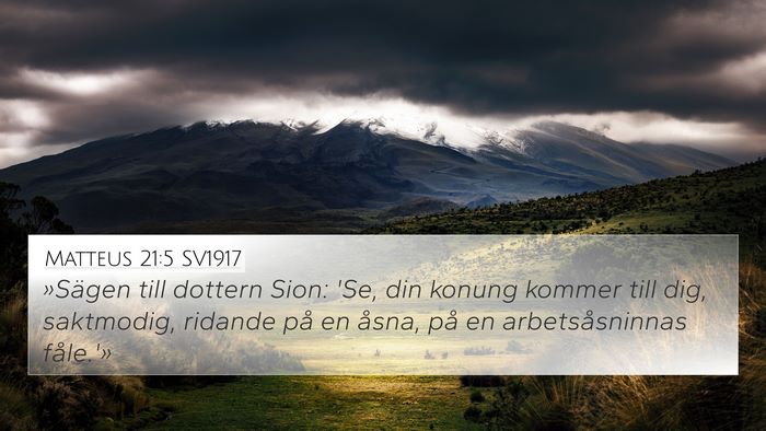 Matteus 21:5 SV1917 4K Wallpaper - »Sägen till dottern Sion: 'Se, din konung - 4K Wallpaper Bible Verse