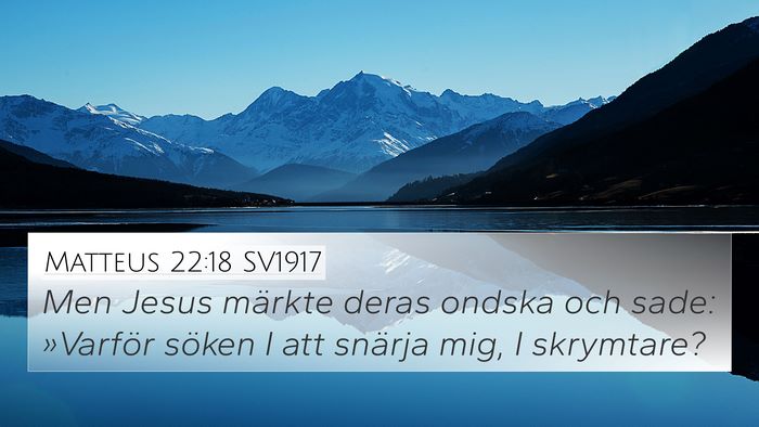 Matteus 22:18 SV1917 Bible Verse Image
