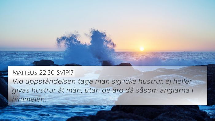 Matteus 22:30 SV1917 Bible Verse Image