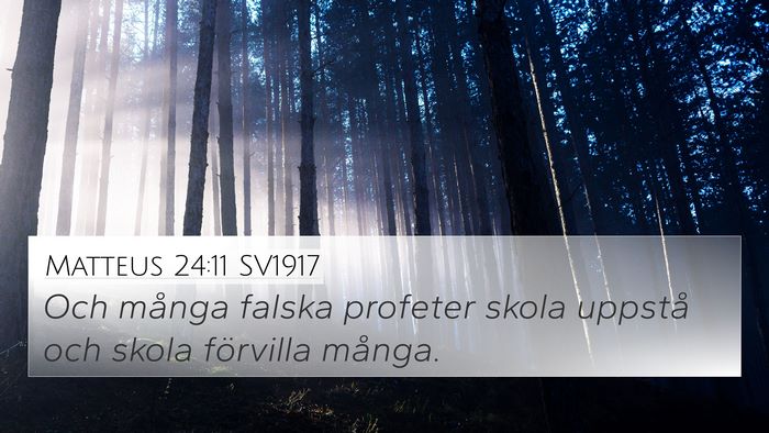Matteus 24:11 SV1917 Bible Verse Image