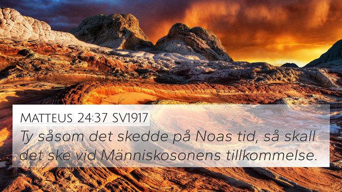 Matteus 24:37 SV1917 Bible Verse Image