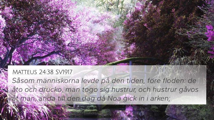Matteus 24:38 SV1917 Bible Verse Image