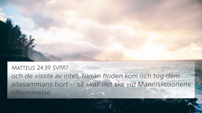Matteus 24:39 SV1917 Bible Verse Image