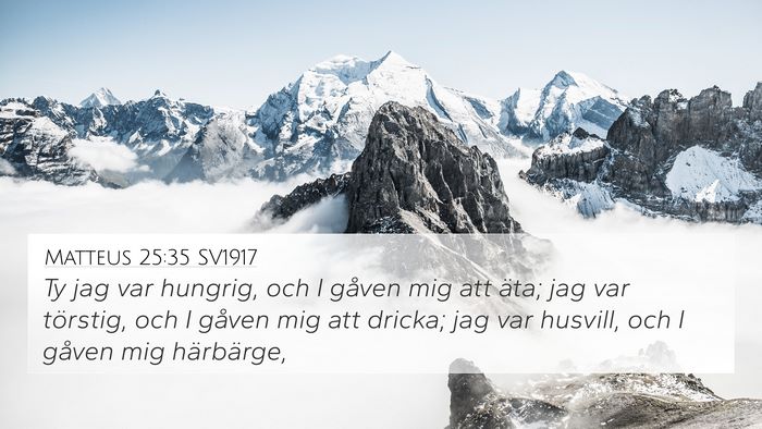 Matteus 25:35 SV1917 Bible Verse Image