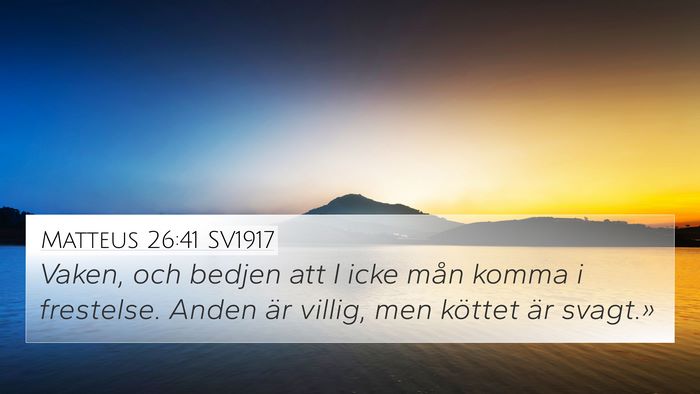 Matteus 26:41 SV1917 Bible Verse Image