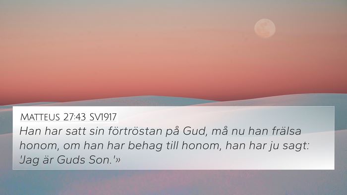 Matteus 27:43 SV1917 Bible Verse Image