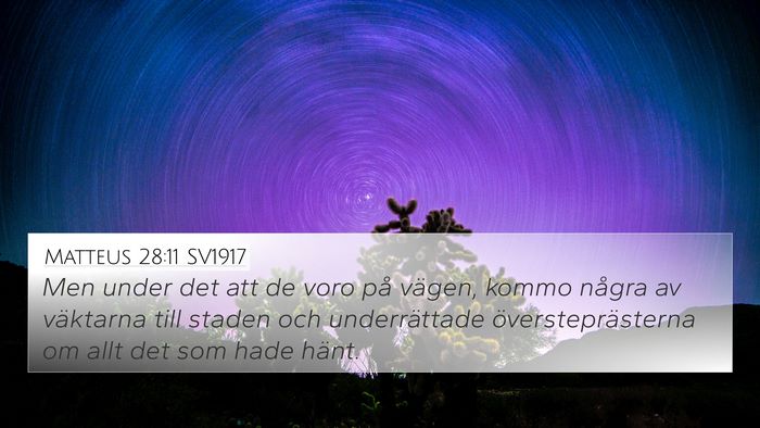 Matteus 28:11 SV1917 Bible Verse Image