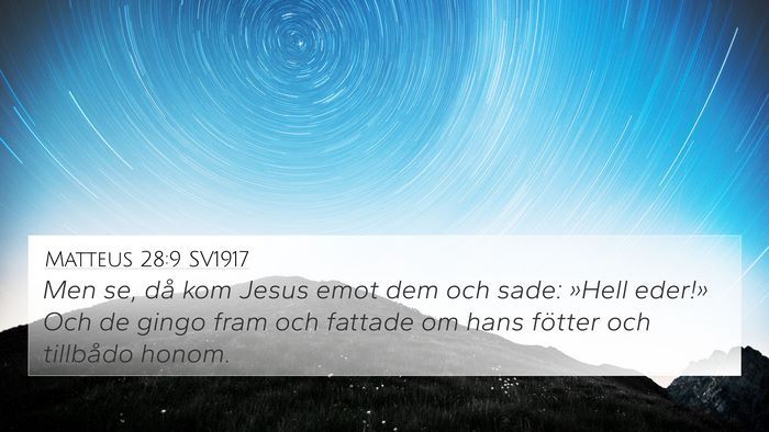 Matteus 28:9 SV1917 Bible Verse Image