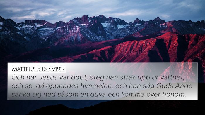 Matteus 3:16 SV1917 Bible Verse Image