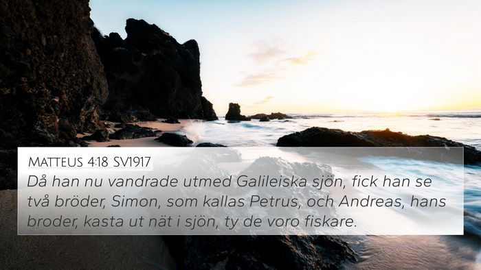 Matteus 4:18 SV1917 Bible Verse Image