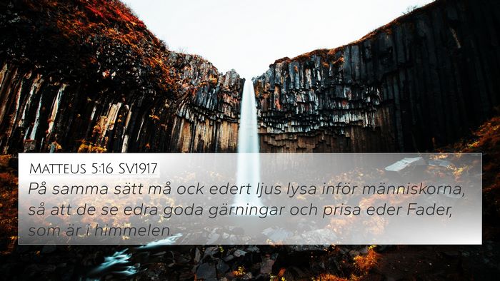 Matteus 5:16 SV1917 Bible Verse Image