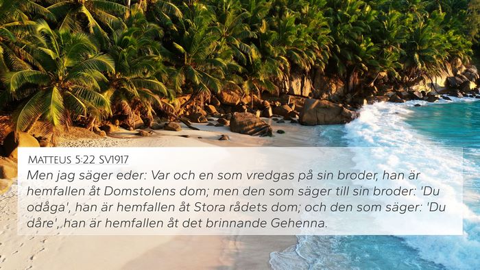 Matteus 5:22 SV1917 Bible Verse Image