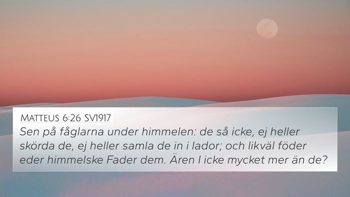 Matteus 6:26 SV1917 Bible Verse Image