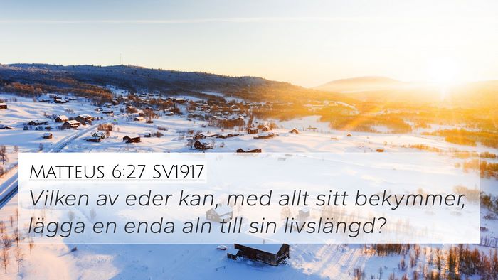 Matteus 6:27 SV1917 Bible Verse Image