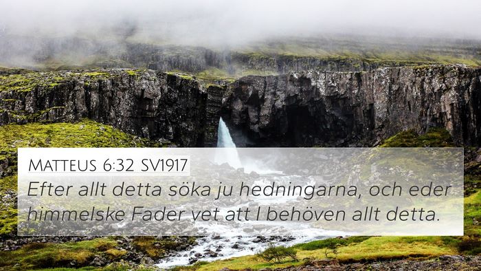 Matteus 6:32 SV1917 Bible Verse Image