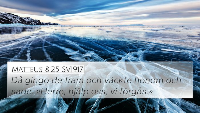 Matteus 8:25 SV1917 4K Wallpaper - Då gingo de fram och väckte honom och sade: - 4K Wallpaper Bible Verse