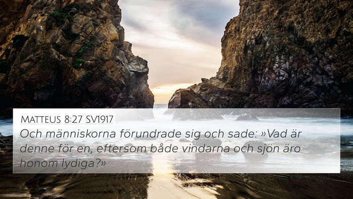 Matteus 8:27 SV1917 Bible Verse Image
