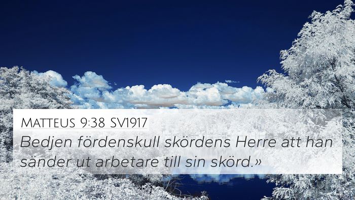 Matteus 9:38 SV1917 Bible Verse Image