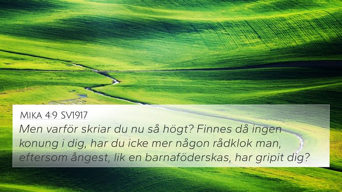 Mika 4:9 SV1917 Bible Verse Image
