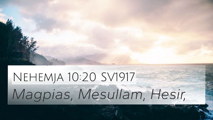 Nehemja 10:20 SV1917 Bible Verse Image