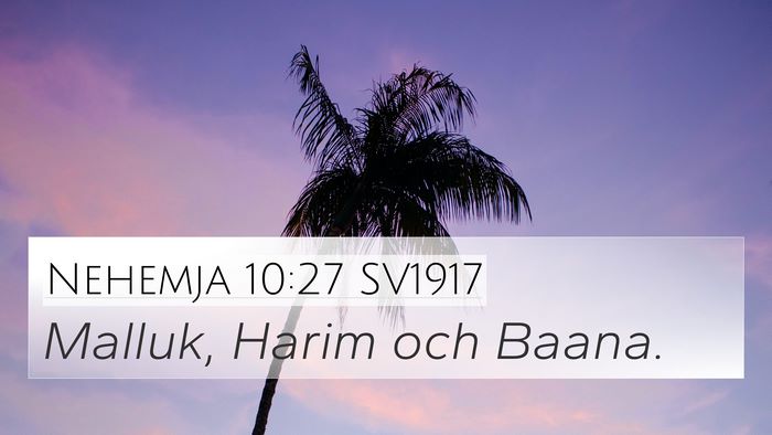 Nehemja 10:27 SV1917 4K Wallpaper - Malluk, Harim och - 4K Wallpaper Bible Verse