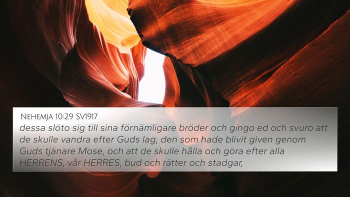 Nehemja 10:29 SV1917 Bible Verse Image