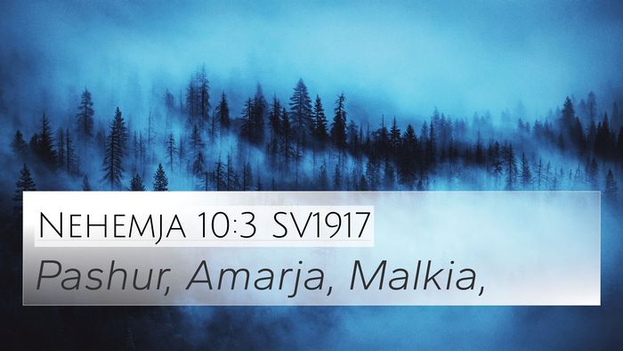 Nehemja 10:3 SV1917 Bible Verse Image