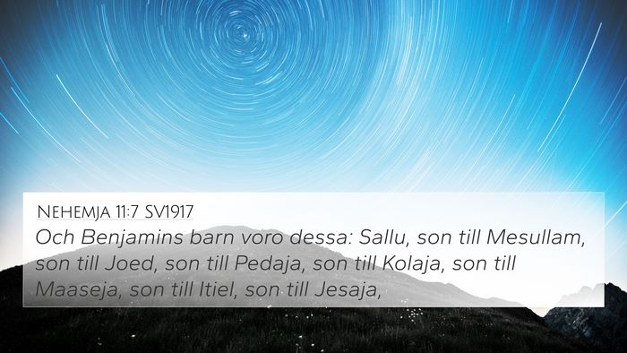 Nehemja 11:7 SV1917 Bible Verse Image