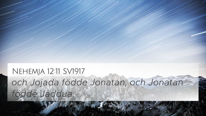 Nehemja 12:11 SV1917 4K Wallpaper - och Jojada födde Jonatan, och Jonatan födde - 4K Wallpaper Bible Verse