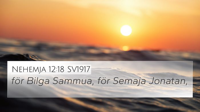 Nehemja 12:18 SV1917 Bible Verse Image