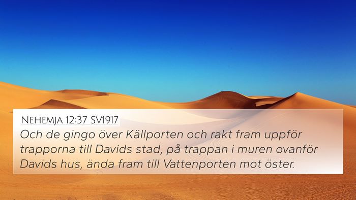 Nehemja 12:37 SV1917 Bible Verse Image