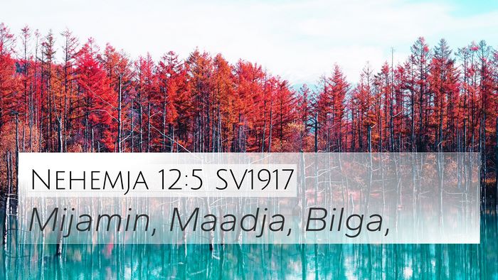 Nehemja 12:5 SV1917 Bible Verse Image