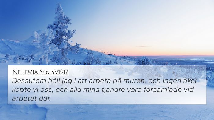 Nehemja 5:16 SV1917 Bible Verse Image