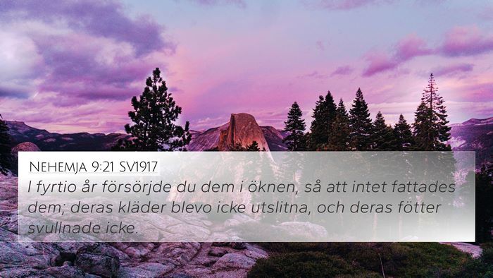 Nehemja 9:21 SV1917 Bible Verse Image