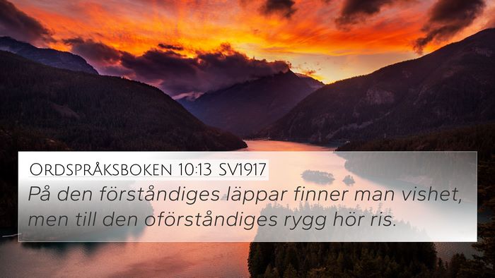 Ordspråksboken 10:13 SV1917 Bible Verse Image