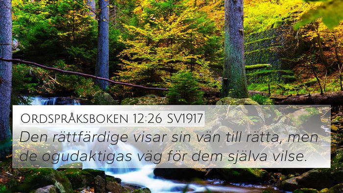 Ordspråksboken 12:26 SV1917 Bible Verse Image