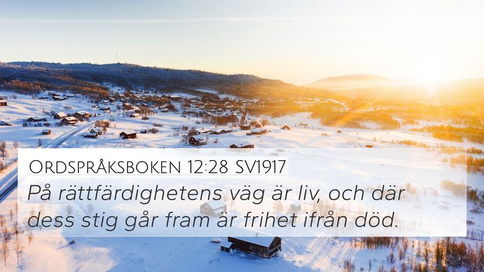 Ordspråksboken 12:28 SV1917 Bible Verse Image