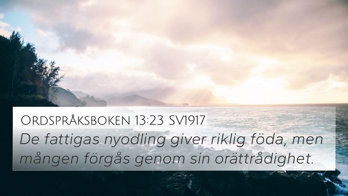 Ordspråksboken 13:23 SV1917 Bible Verse Image