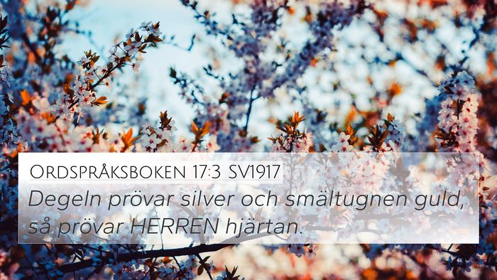 Ordspråksboken 17:3 SV1917 Bible Verse Image