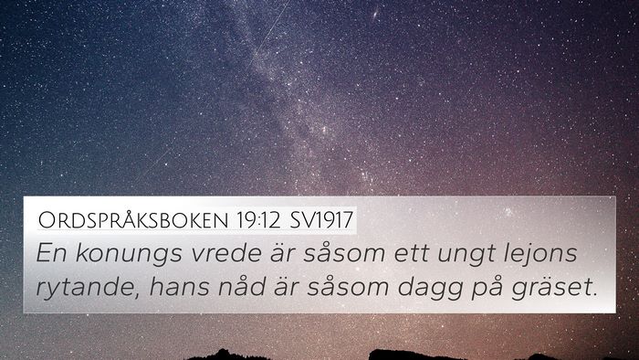 Ordspråksboken 19:12 SV1917 Bible Verse Image