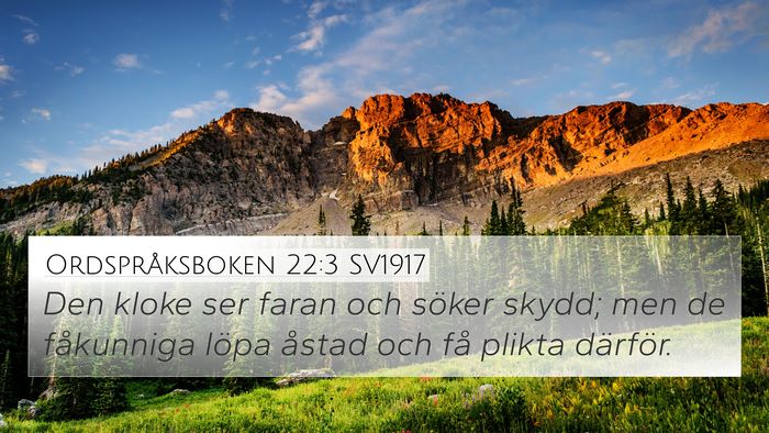 Ordspråksboken 22:3 SV1917 Bible Verse Image