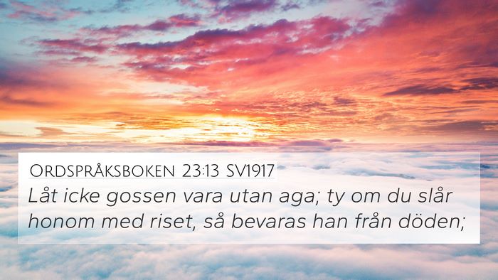 Ordspråksboken 23:13 SV1917 Bible Verse Image