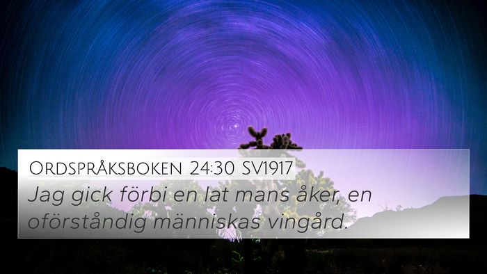 Ordspråksboken 24:30 SV1917 Bible Verse Image