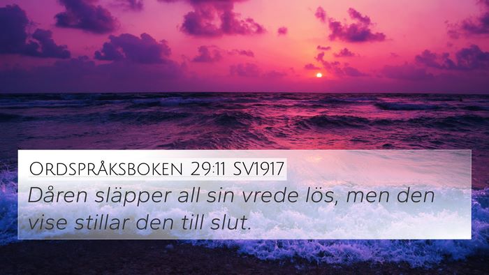 Ordspråksboken 29:11 SV1917 Bible Verse Image