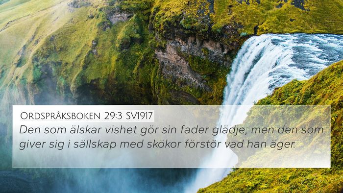 Ordspråksboken 29:3 SV1917 Bible Verse Image