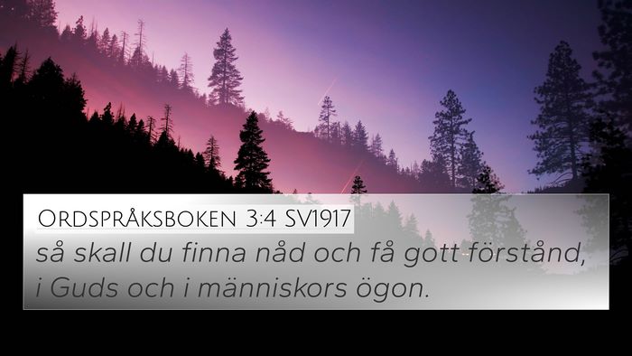 Ordspråksboken 3:4 SV1917 Bible Verse Image