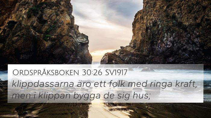 Ordspråksboken 30:26 SV1917 Bible Verse Image
