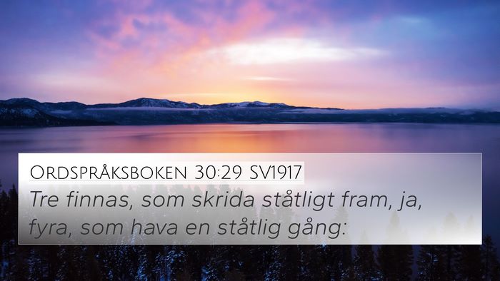 Ordspråksboken 30:29 SV1917 Bible Verse Image