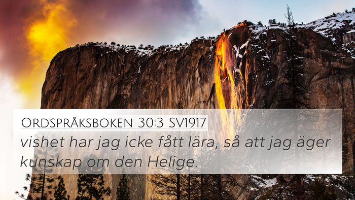 Ordspråksboken 30:3 SV1917 Bible Verse Image
