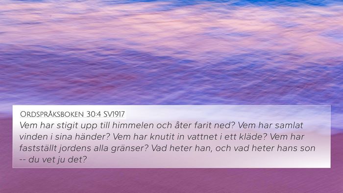 Ordspråksboken 30:4 SV1917 Bible Verse Image